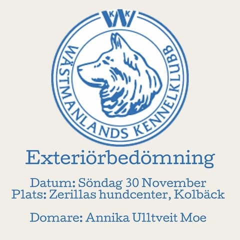 Exteriörbedömning