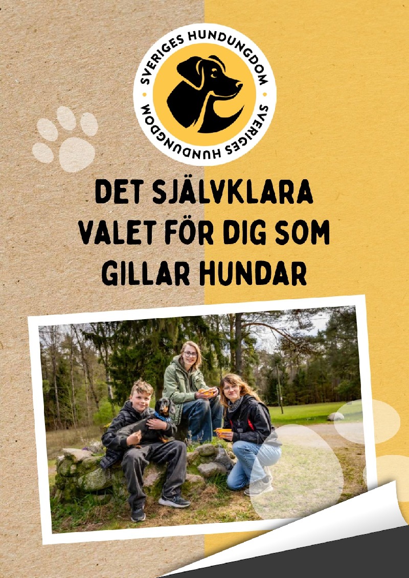 Framsida digital broschyr