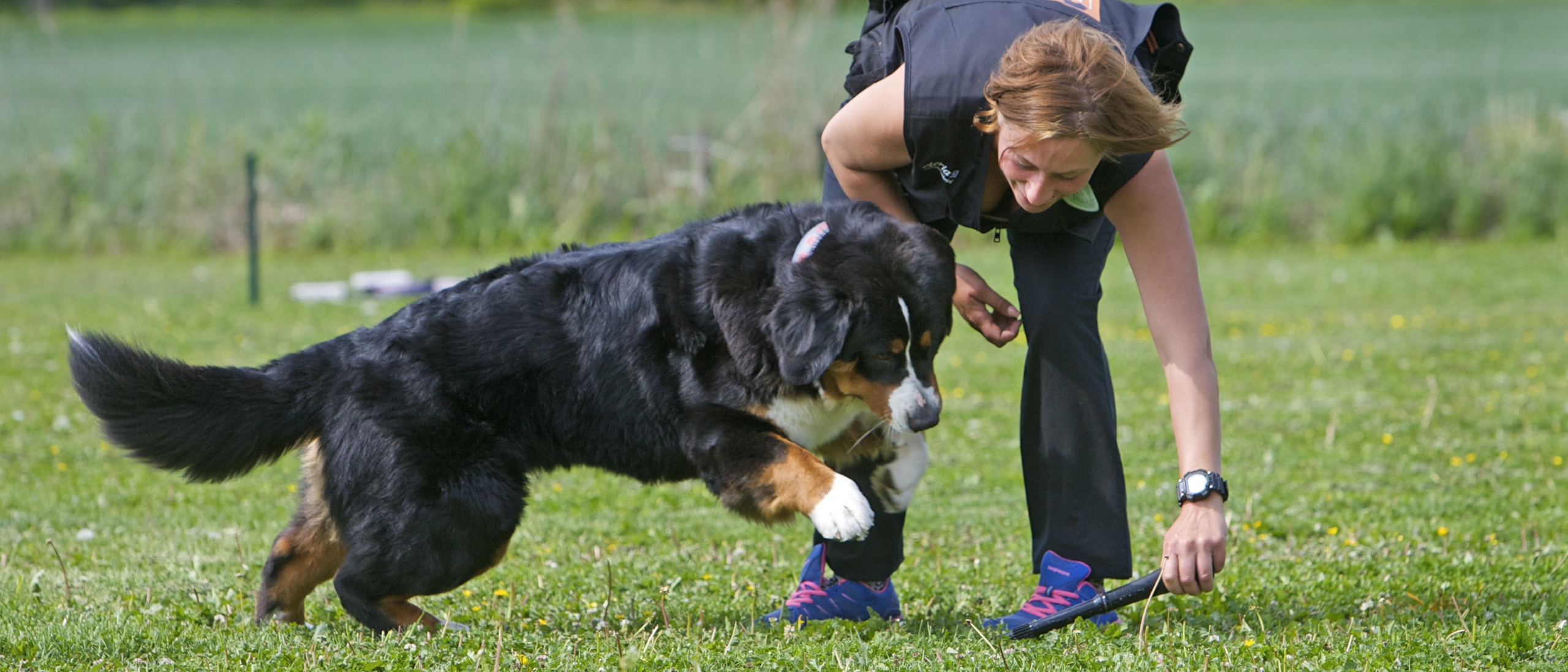 Fotograf: Åsa Lindholm