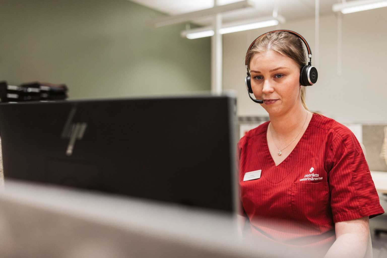 Djurvårdspersonal tar emot telefonsamtal