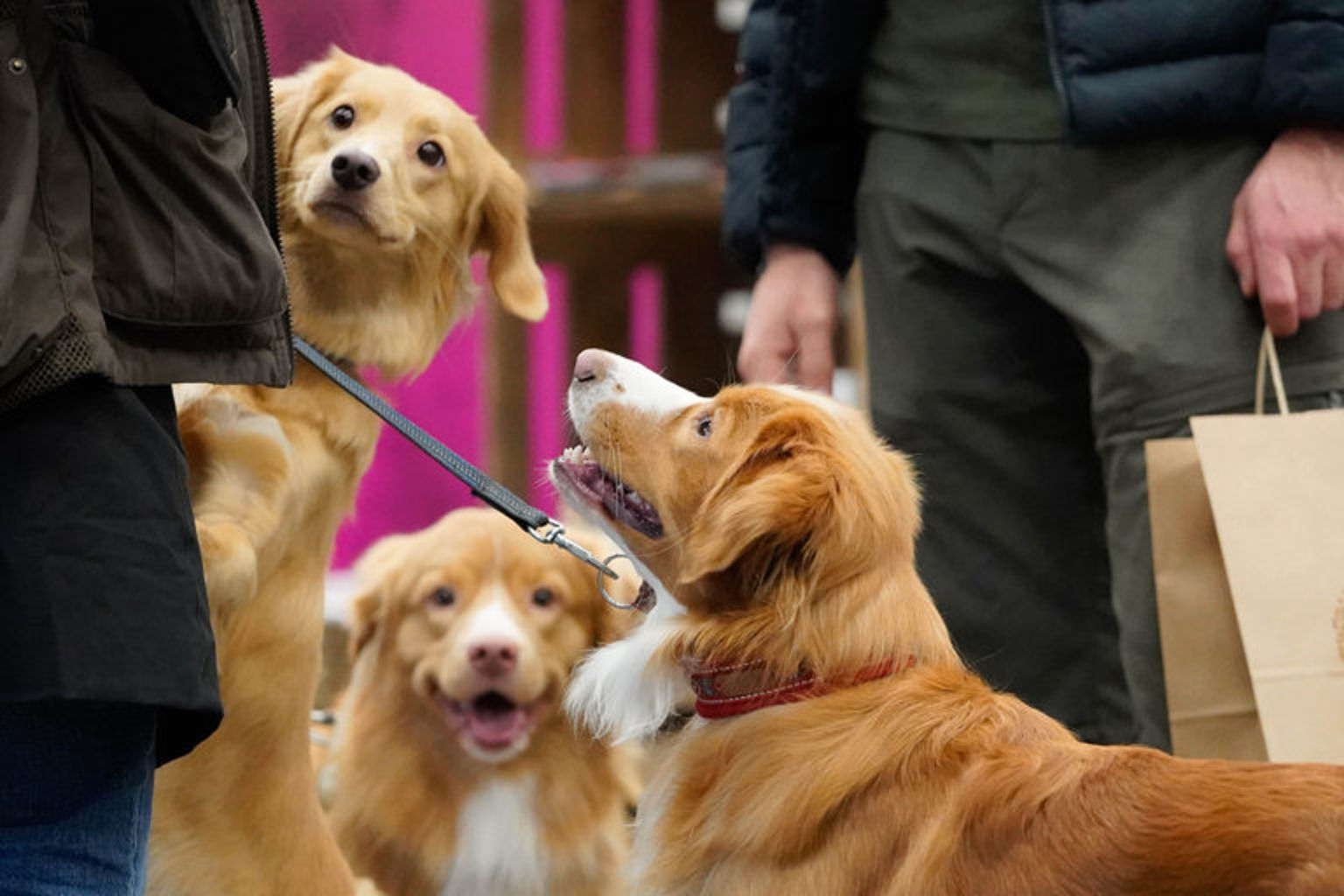 Foto: Sandra Charina Lundin