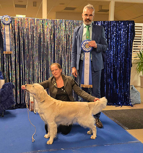Östgötamästare veteran 2025