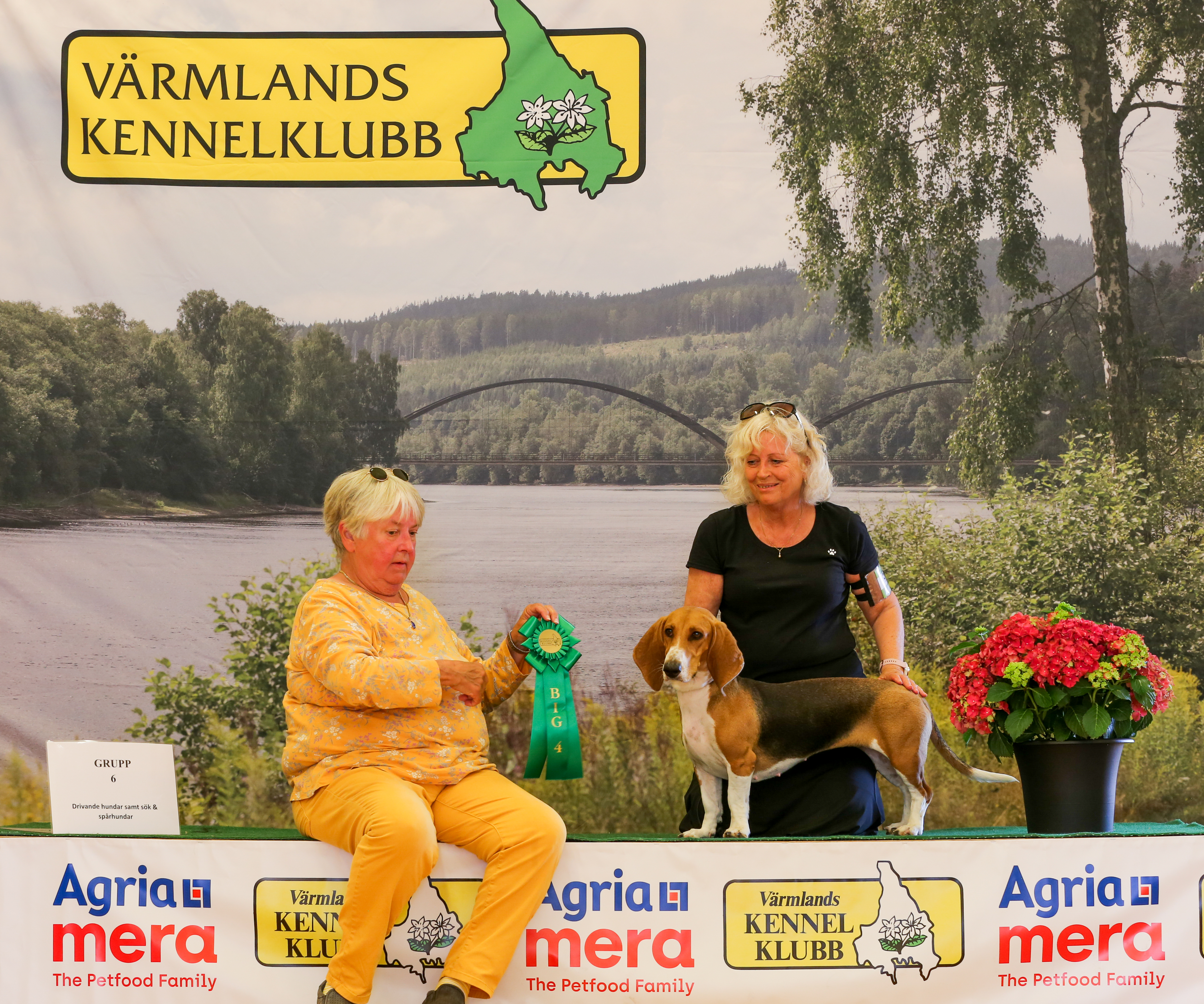 BIG-4 Grupp 6