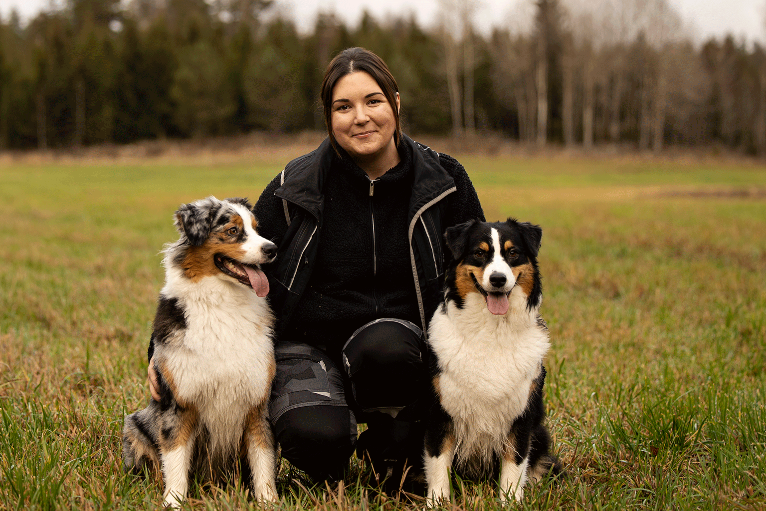 Malin Wallbring med två australian shepherd