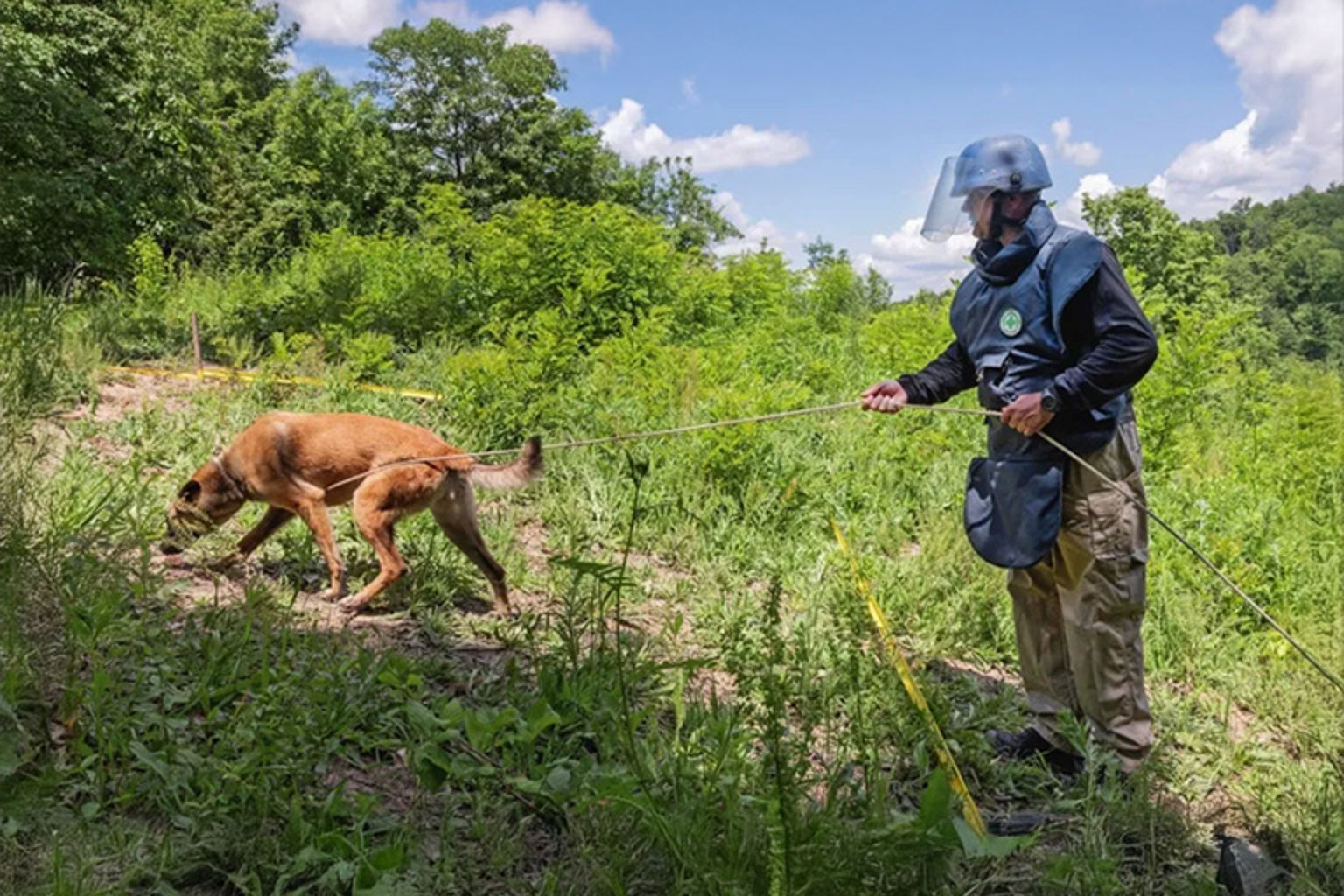 hund söker sprängämnen 