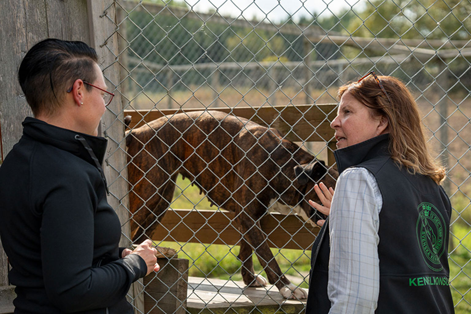 två personer besök en hund i hundgård