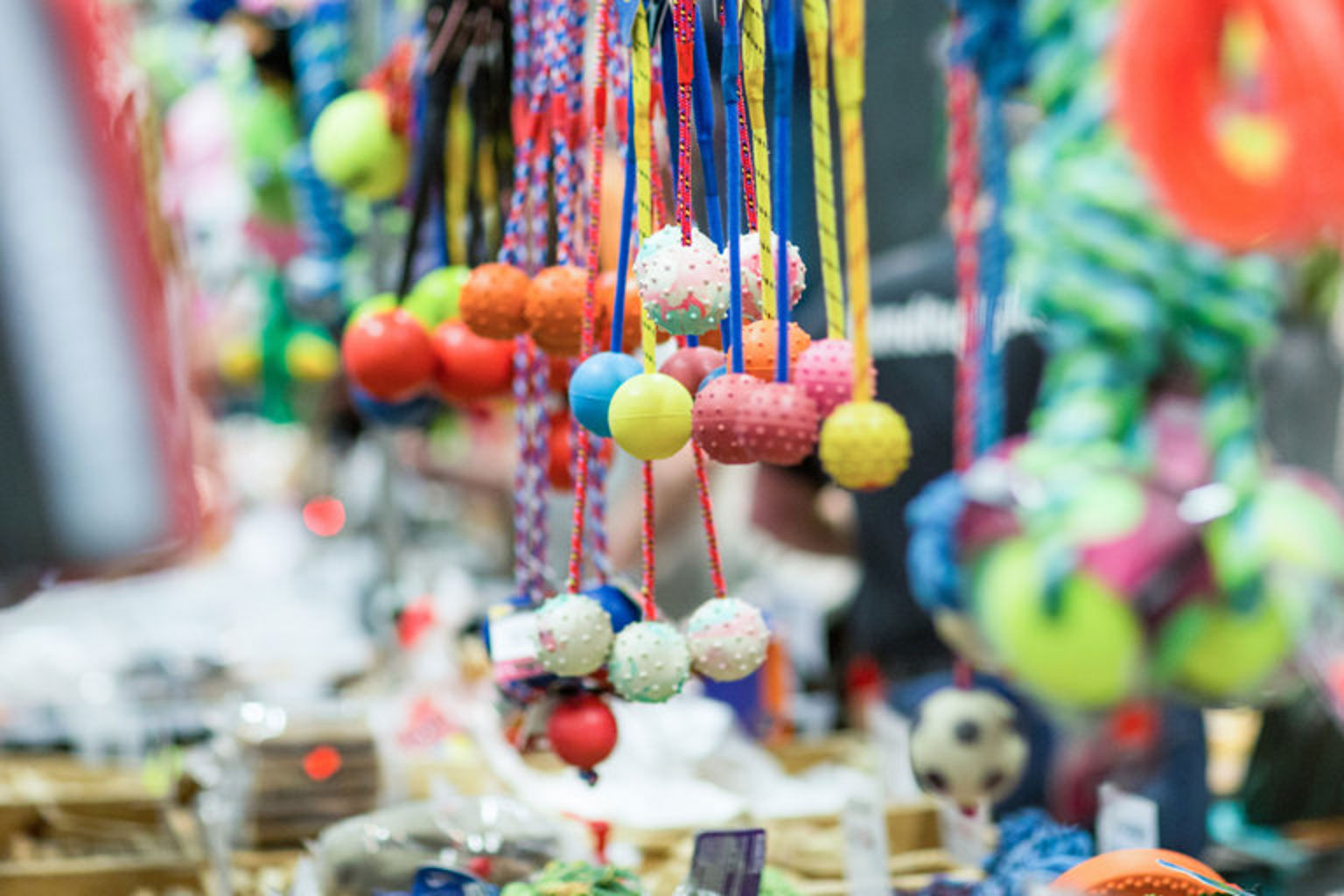 Foto: Jenny Jurnelius