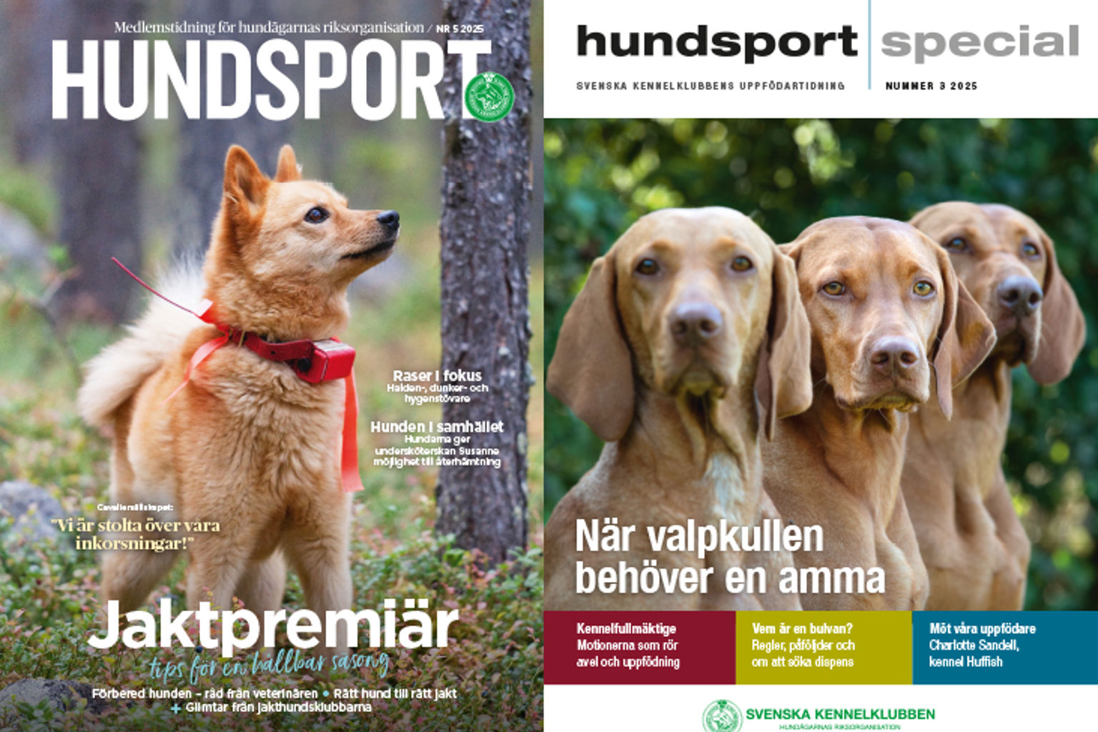 två omslag av tidningarna hundsport och hundsport special