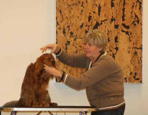 Domare Erna-Britt Nordin rasbeskriver Cavalier King Charles Spaniel 2010