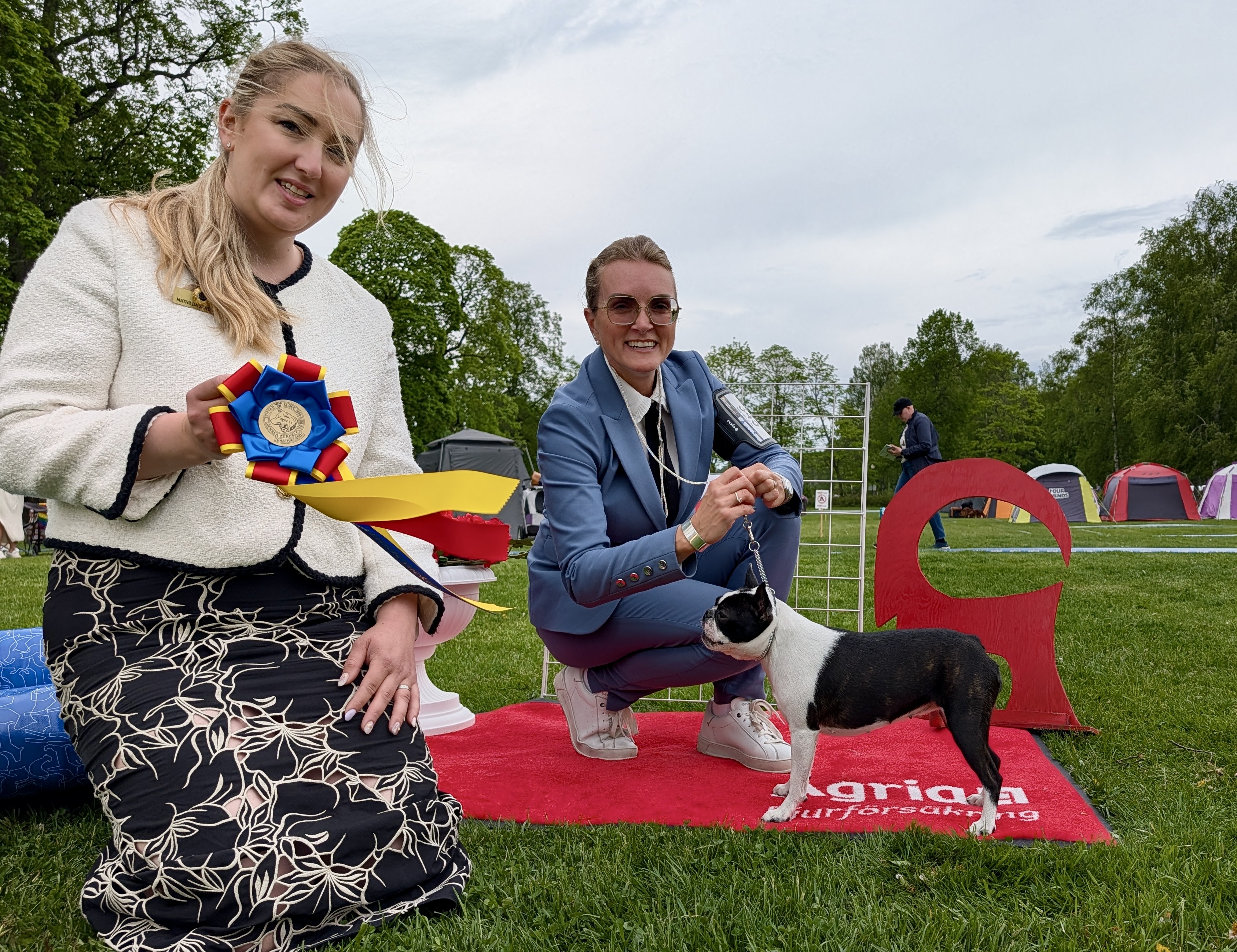 Vackraste Gästrikehund lördag - Bostonterrier