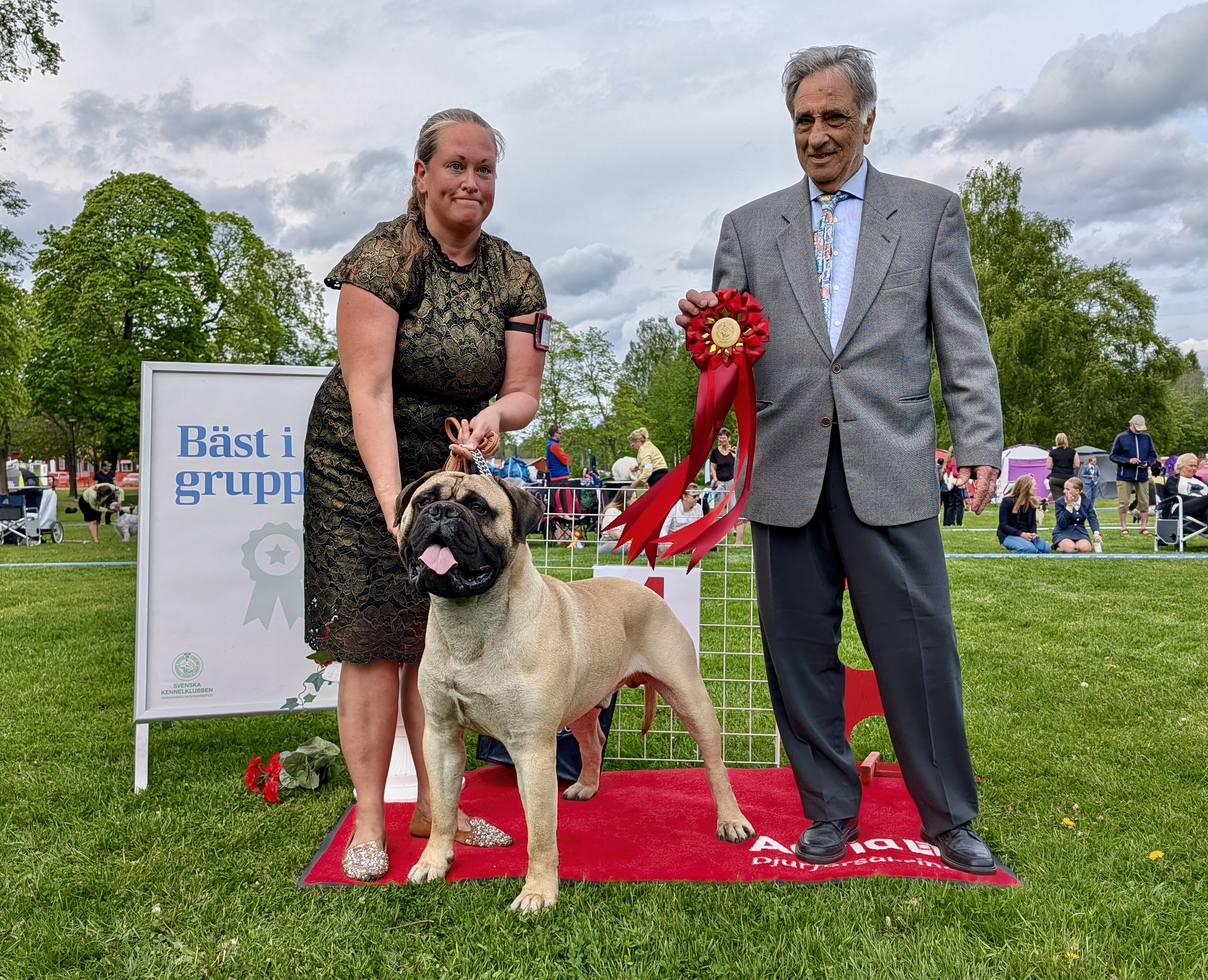 BIG-1 Grupp 2 Bullmastriff