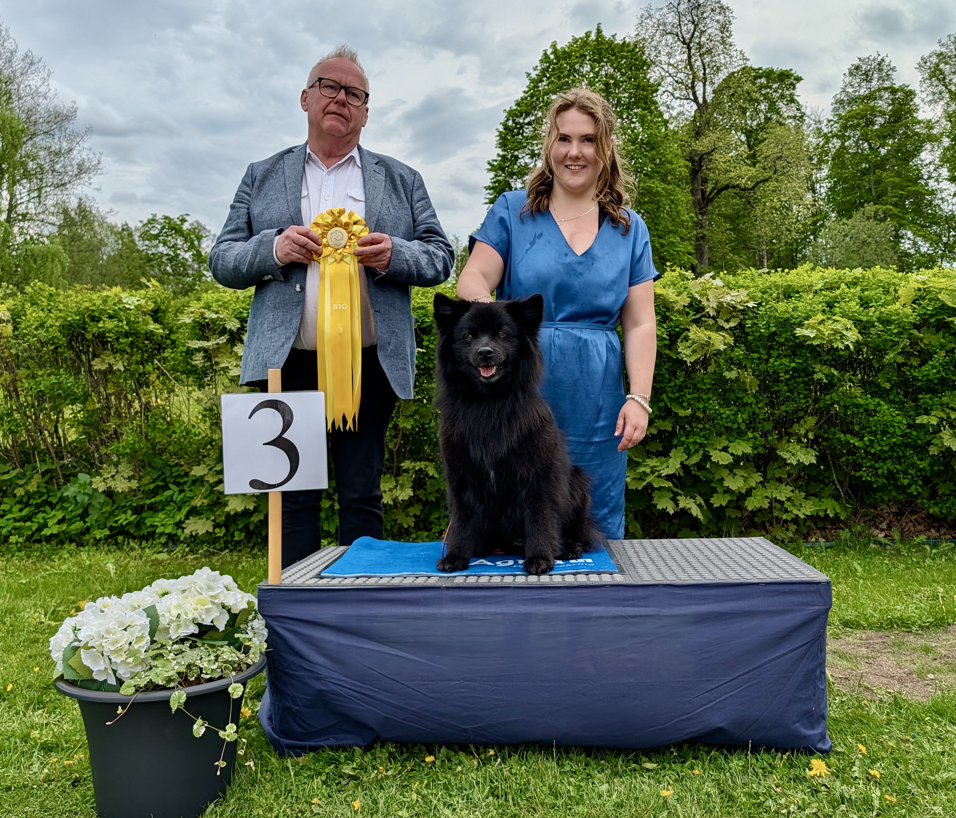 BIG-3 Grupp 5 - Svensk Lapphund