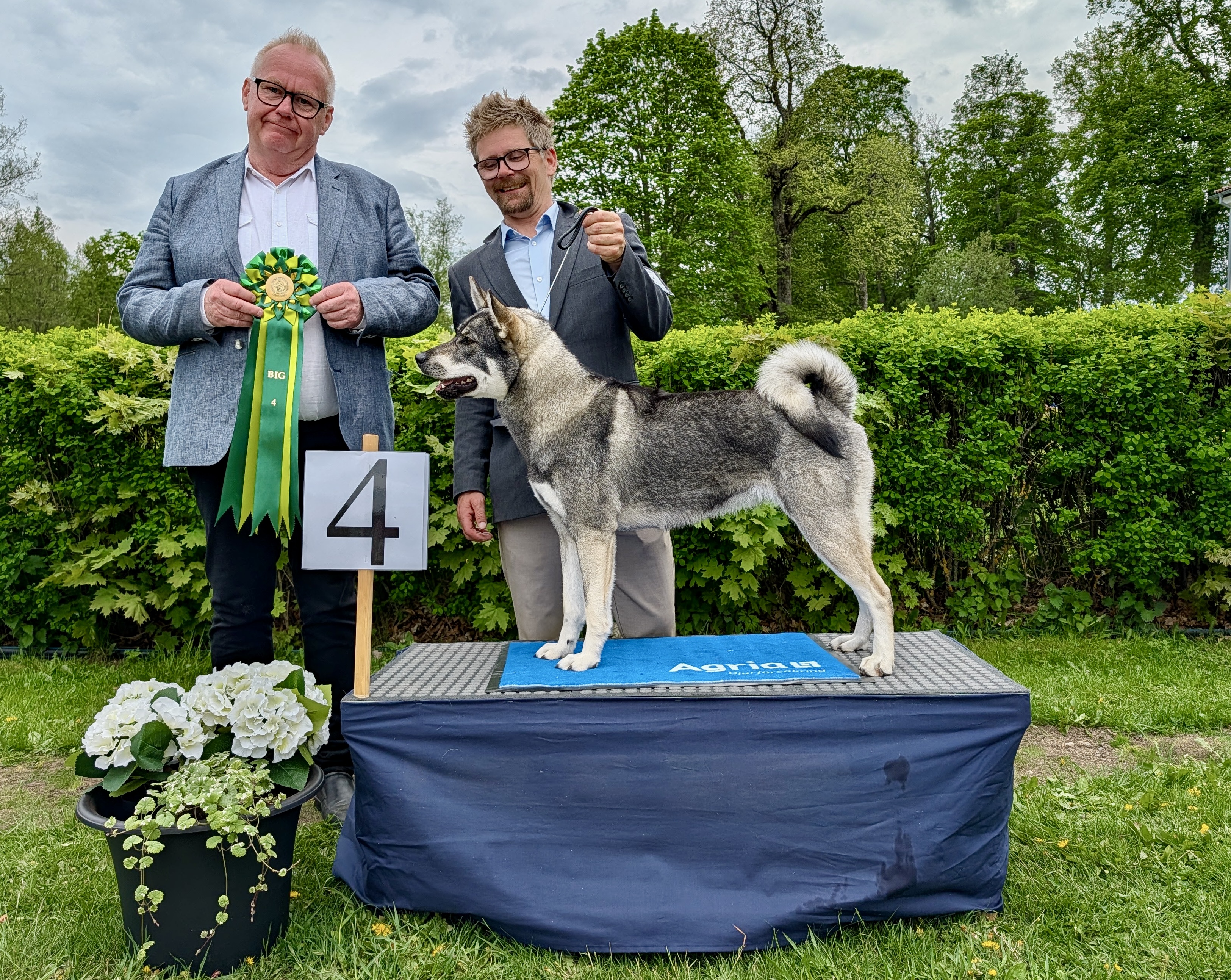 BIG-4 Grupp 5 - Jämthund