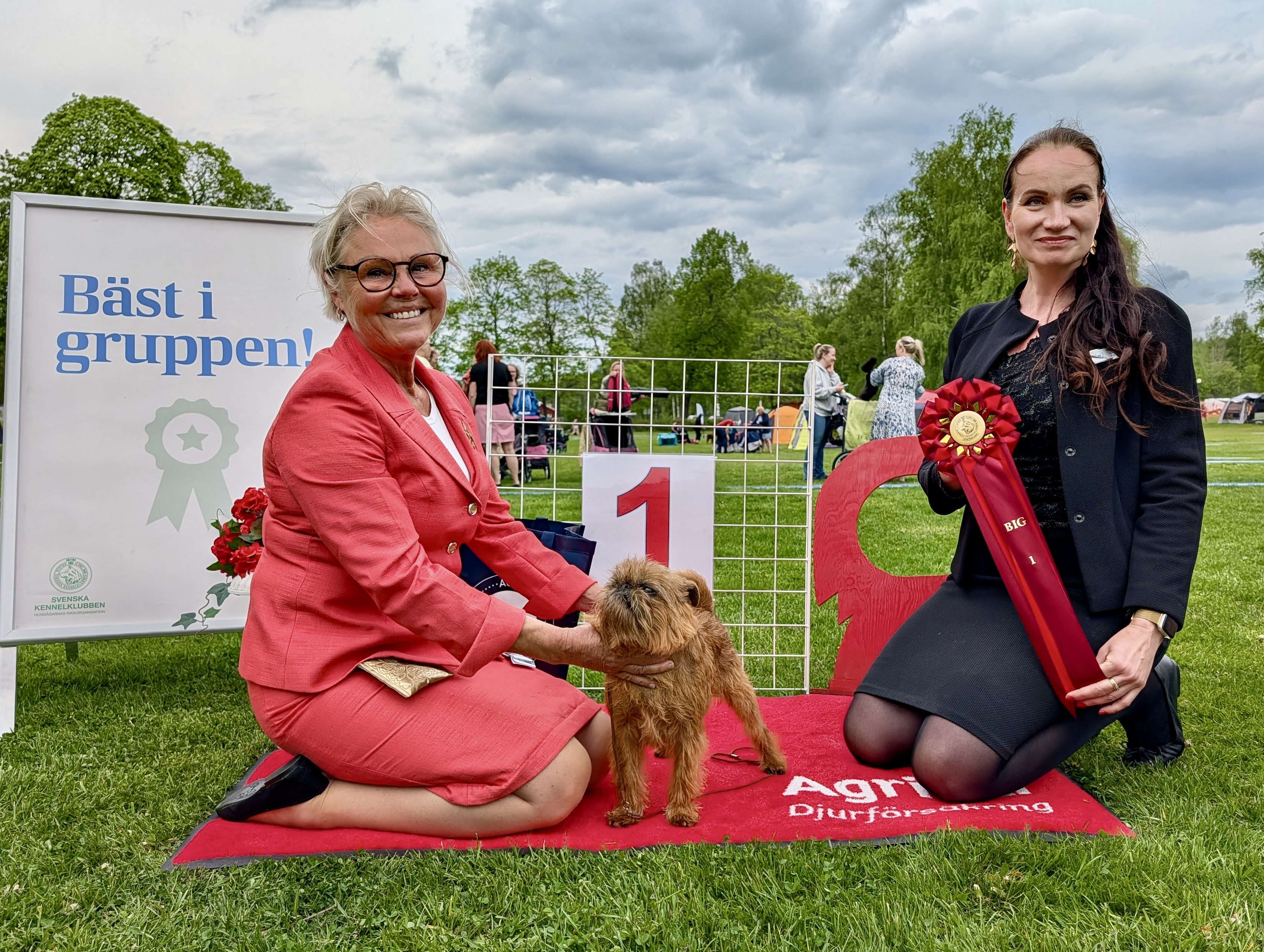 BIG-1 Grupp 9 - Griffon Bruxellois