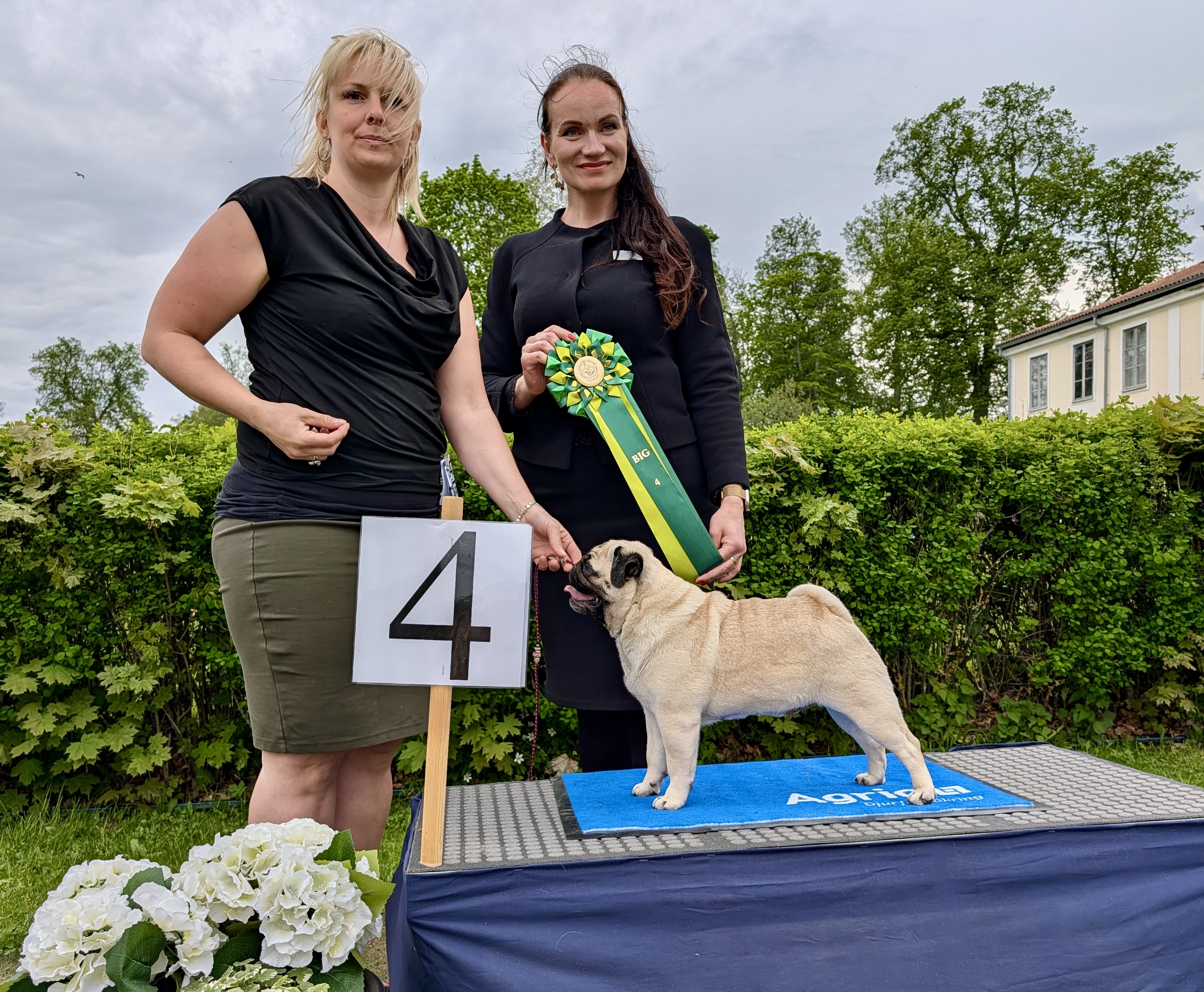 BIG-4 Grupp 9 - Mops