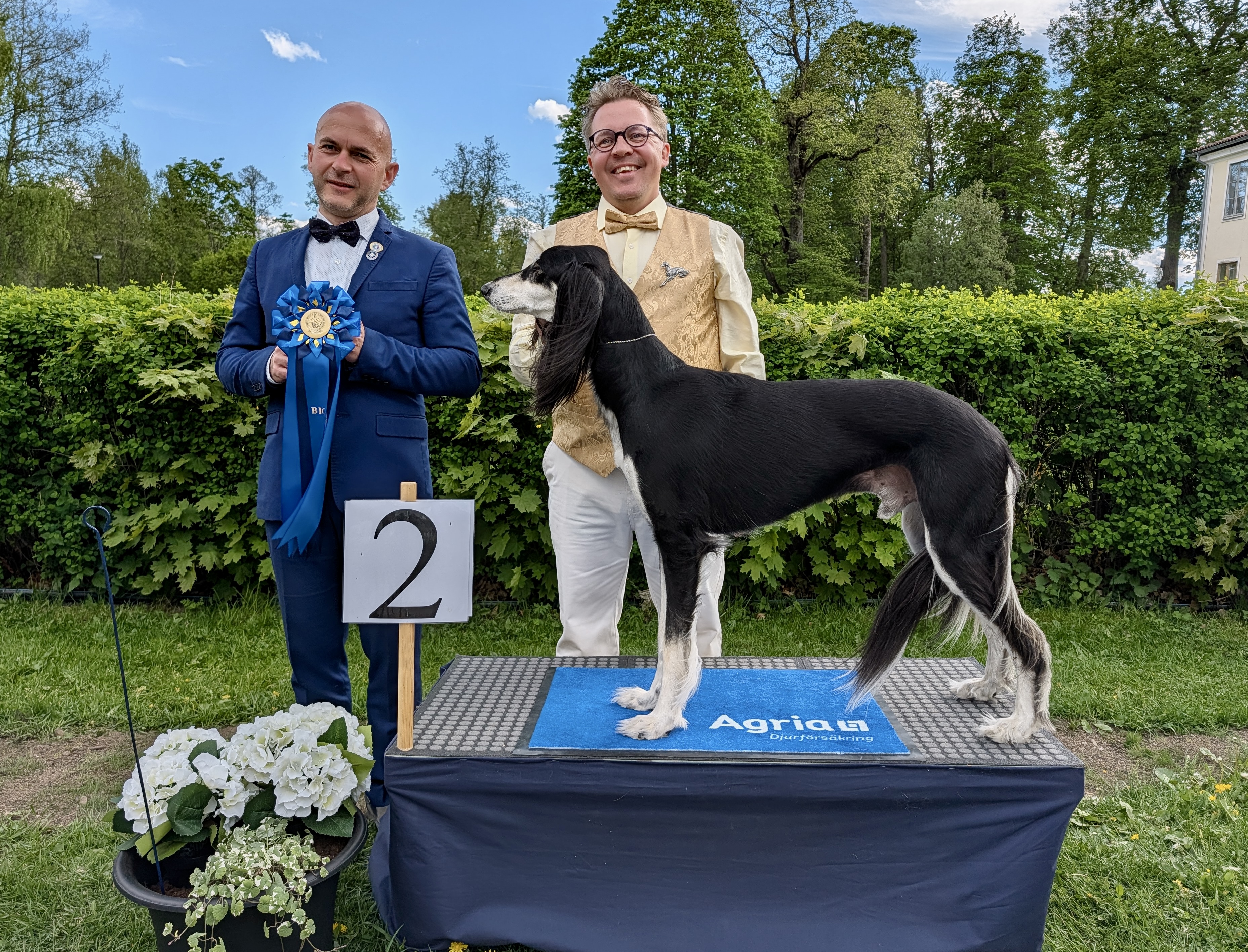 BIG-2 Grupp 10 - Saluki
