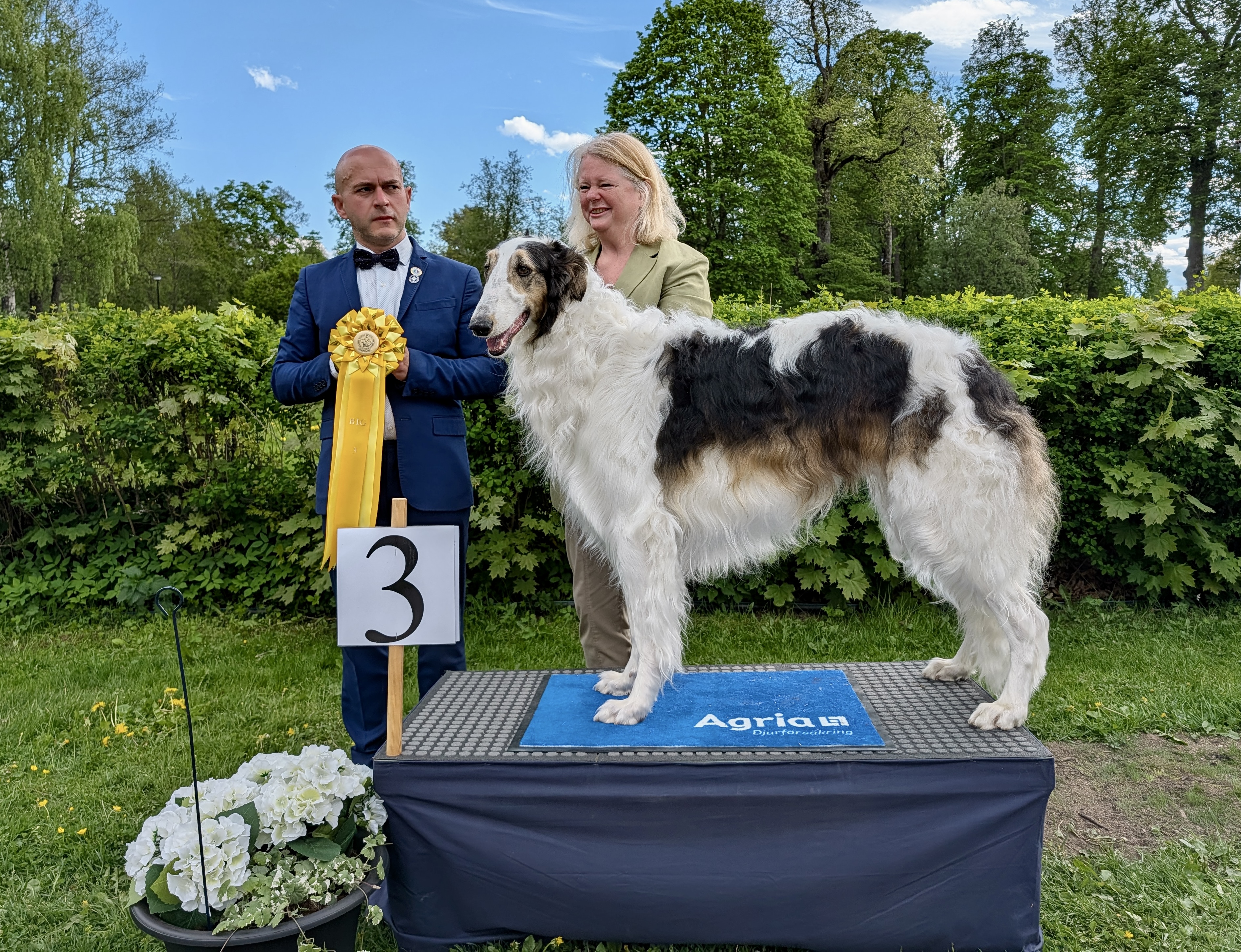 BIG-3 Grupp 10 - Borzoi