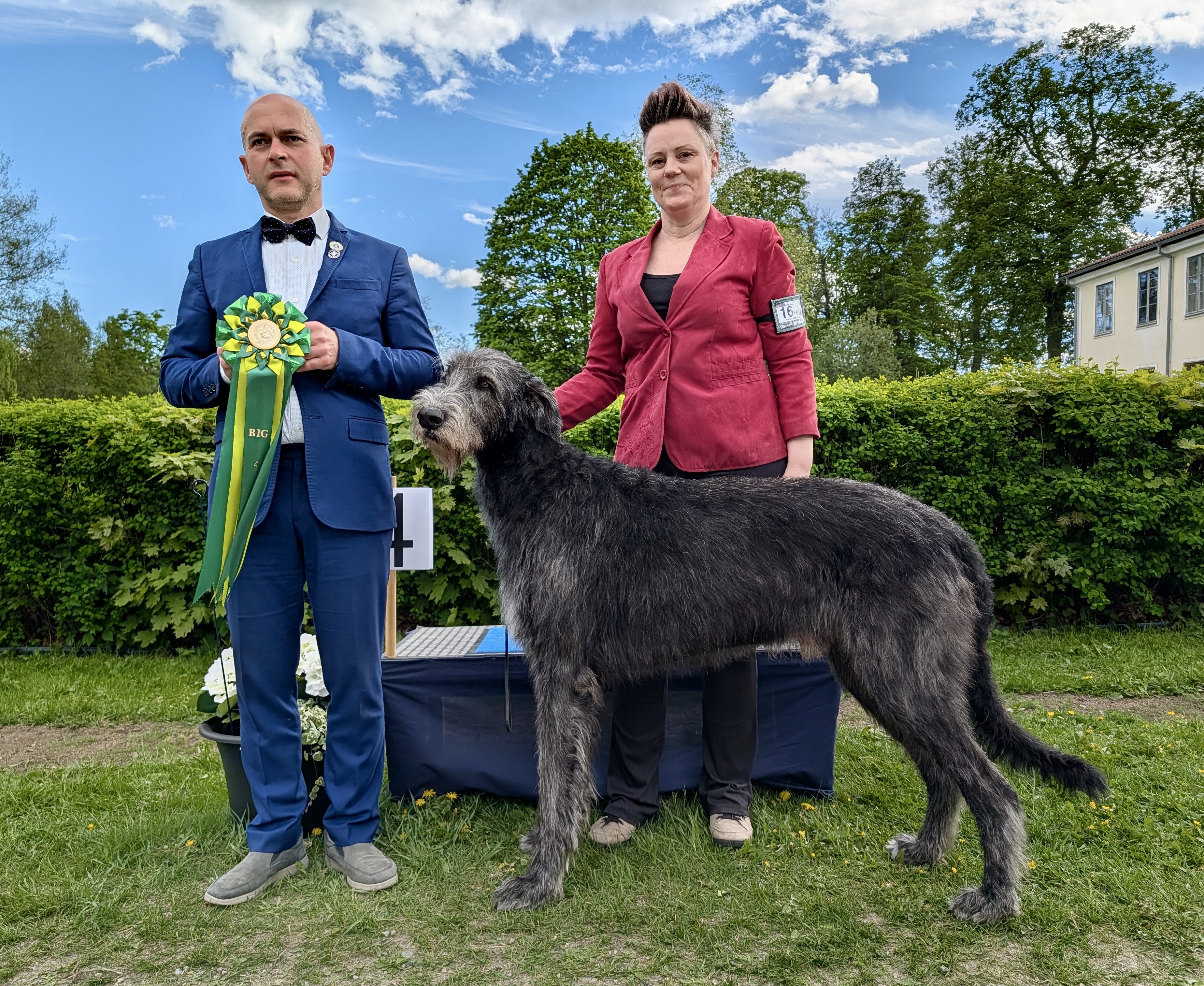 BIG-4 Grupp 10 - Irländsk Varghund