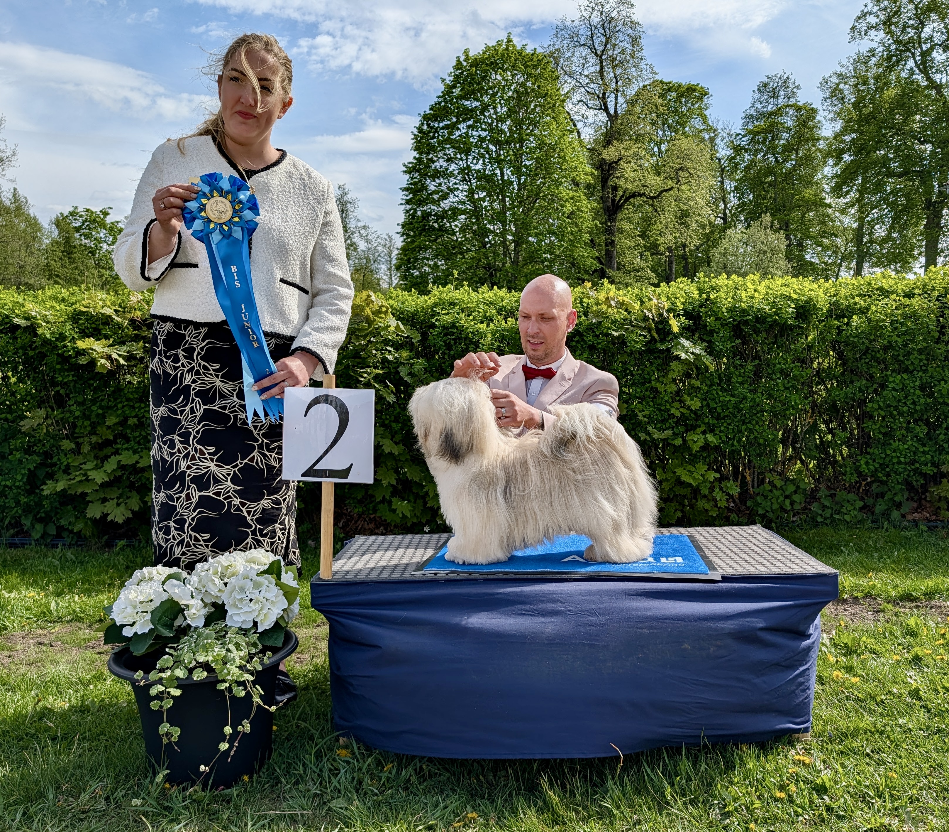 BIS-2 Juniorer lördag - Lhasa Apso
