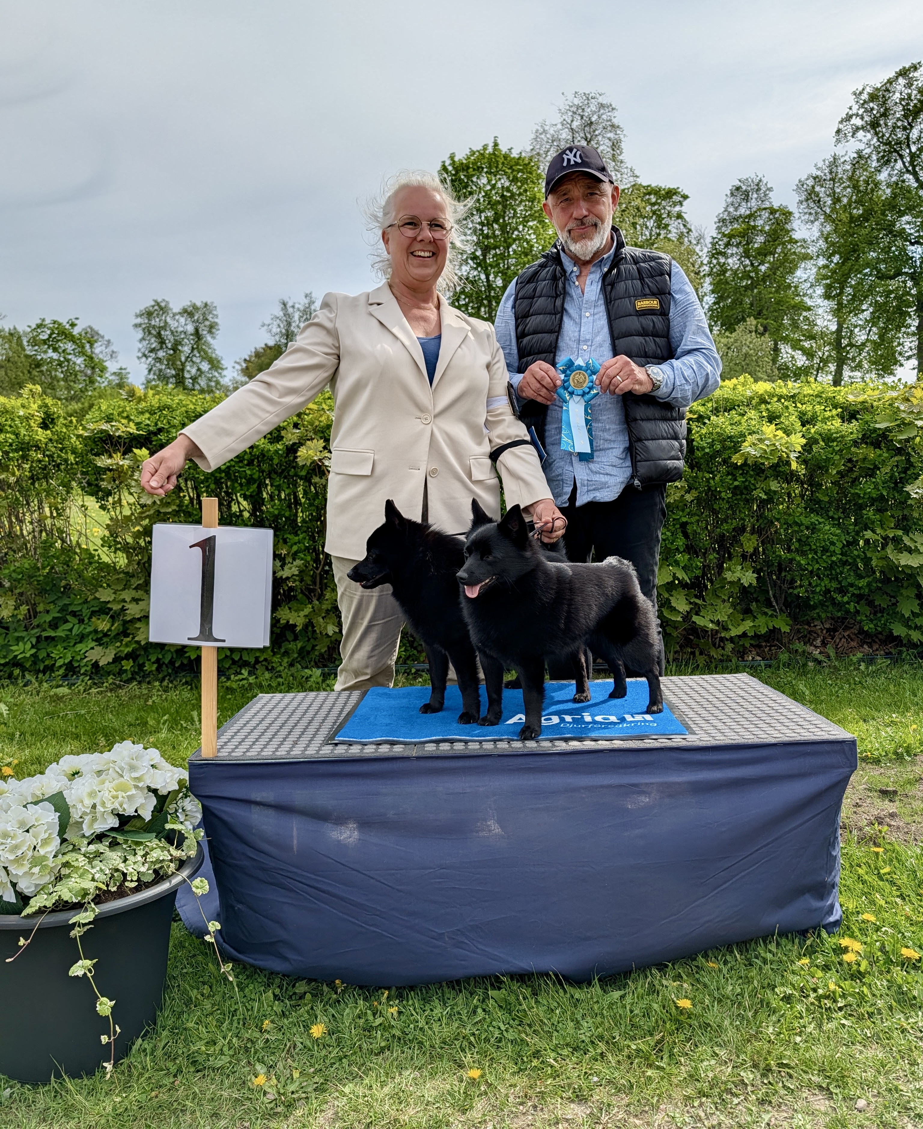 BIS-1 Parklass lördag - Schipperke