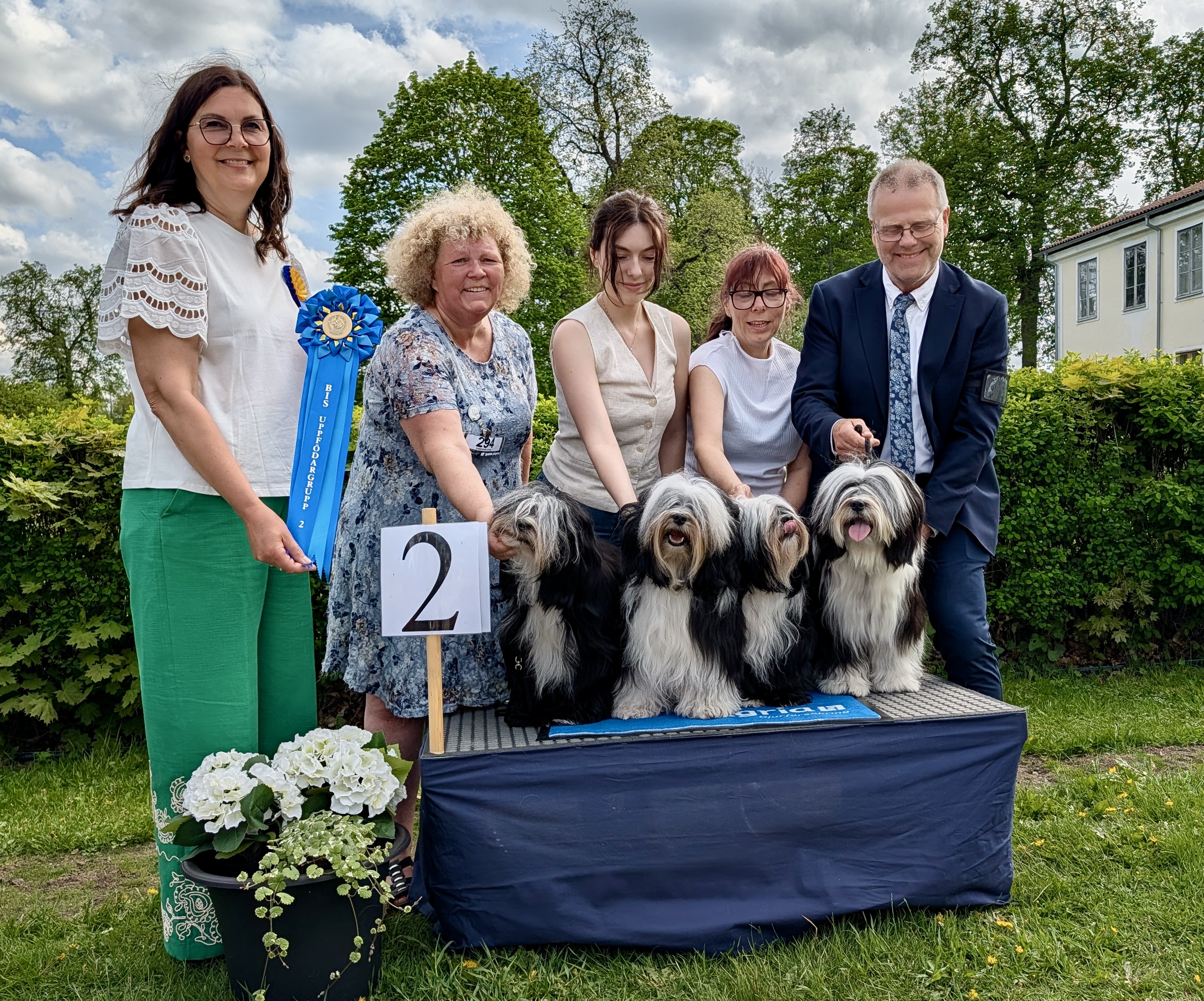 BIS-2 Uppfödare lördag - Tibetansk Terrier