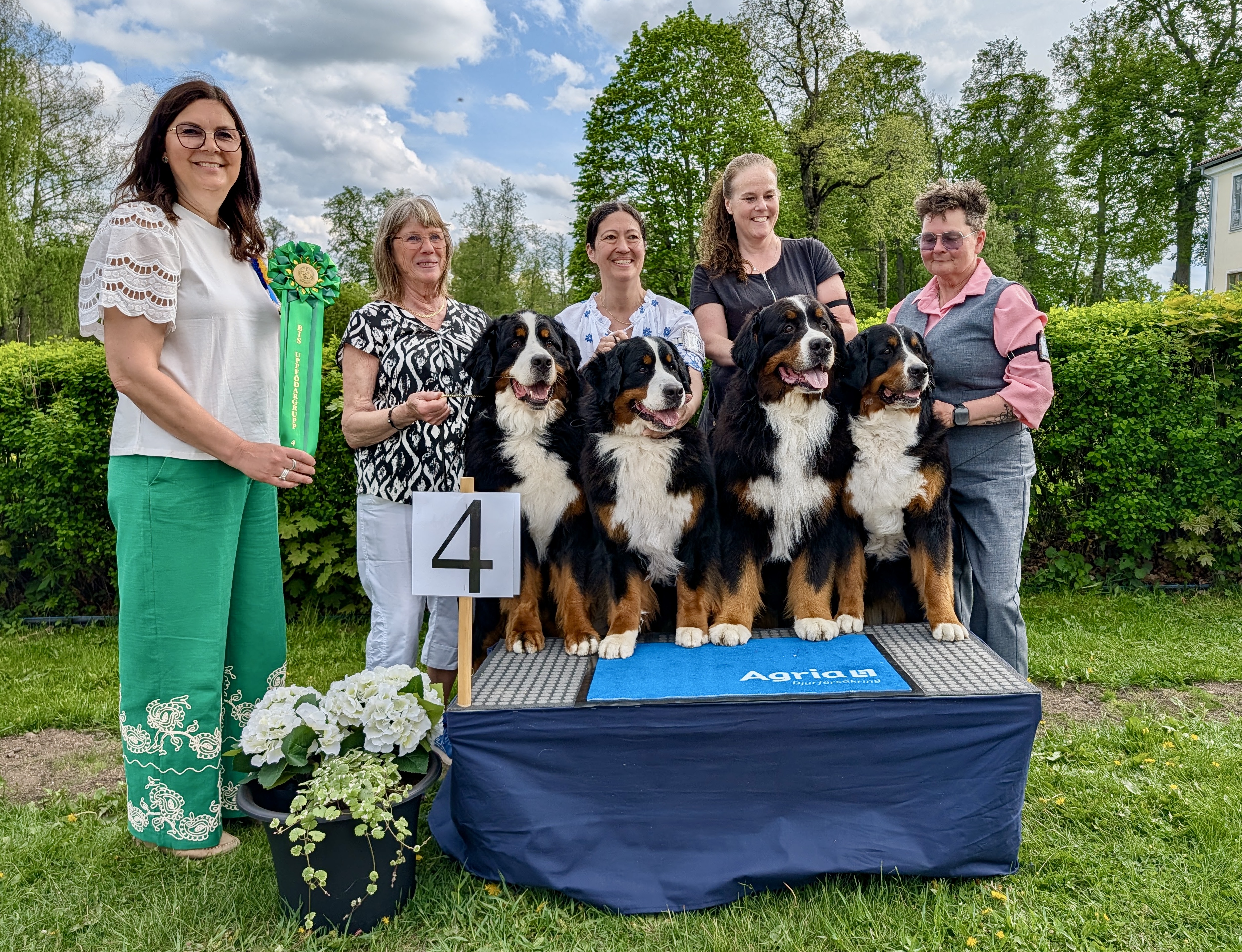 BIS-4 Uppfödare lördag - Berner Sennenhund