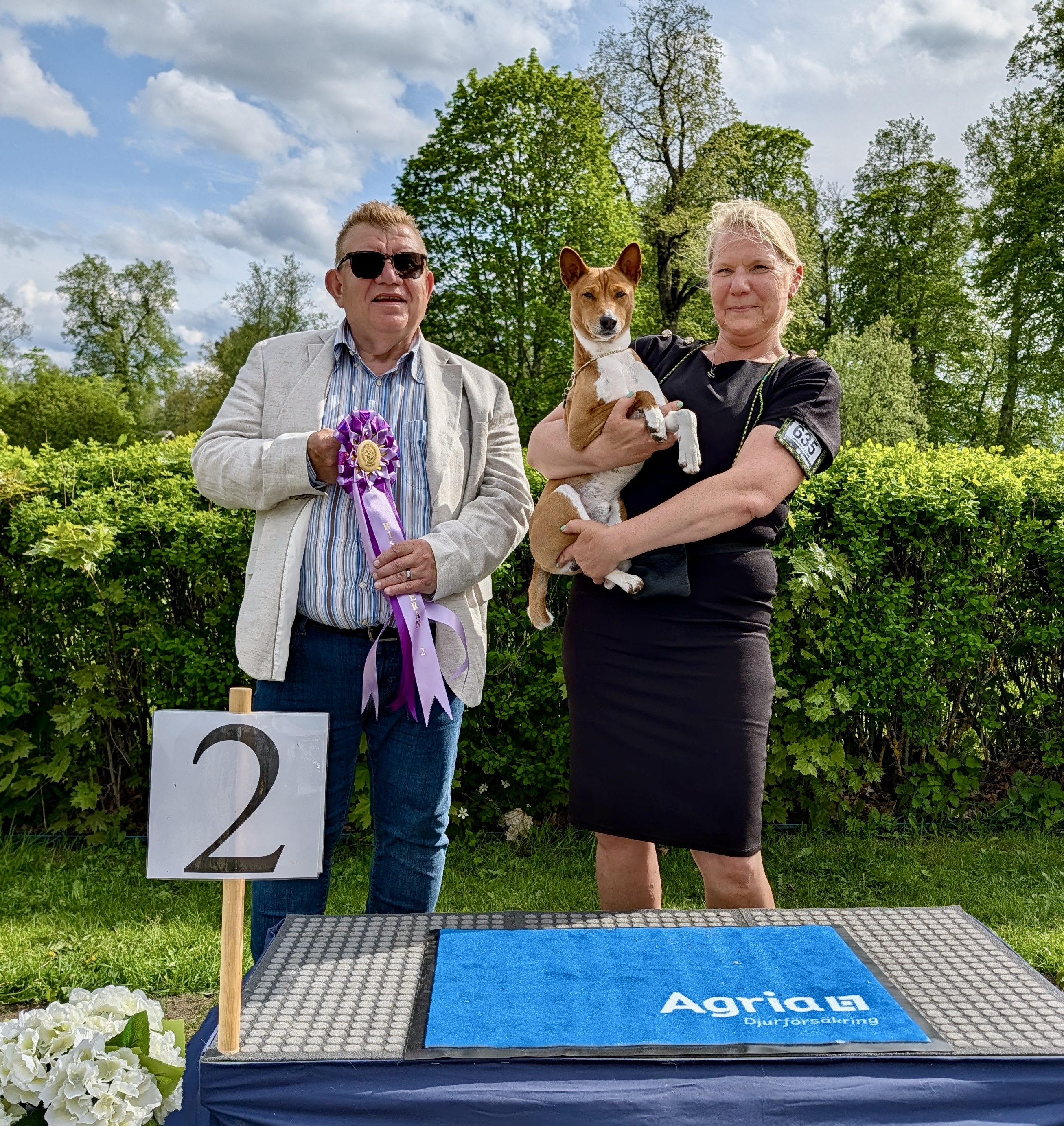 BIS-2 Veteraner lördag - Basenji