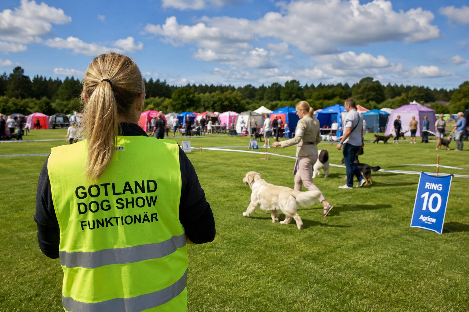 Funktionär som står i en uställningsring med en gul väst med klubbens namn på ryggen