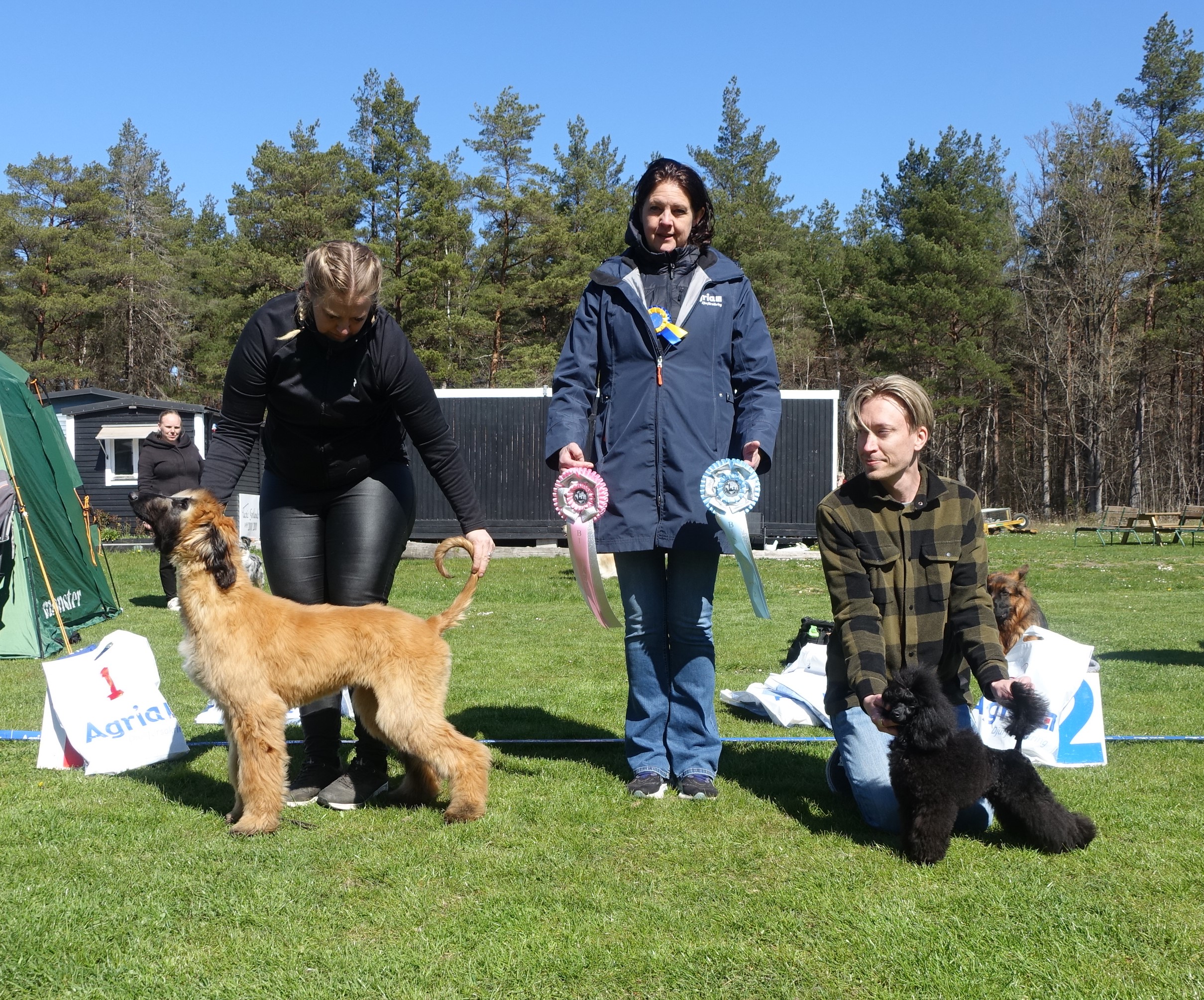BIS BABY Quite Classic a Touch of Freedom Hanna Frank och BIM BABY Racinline No Limit, ägare: Karl Jensen 