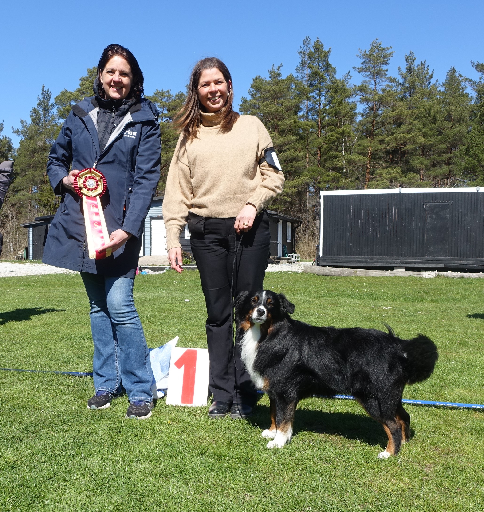 BIS 1 Björabäckens Fiftiestar Chuckberry, ägare Julia Mörk