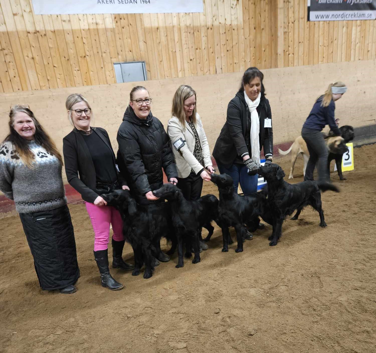 bisuppfödargrupp