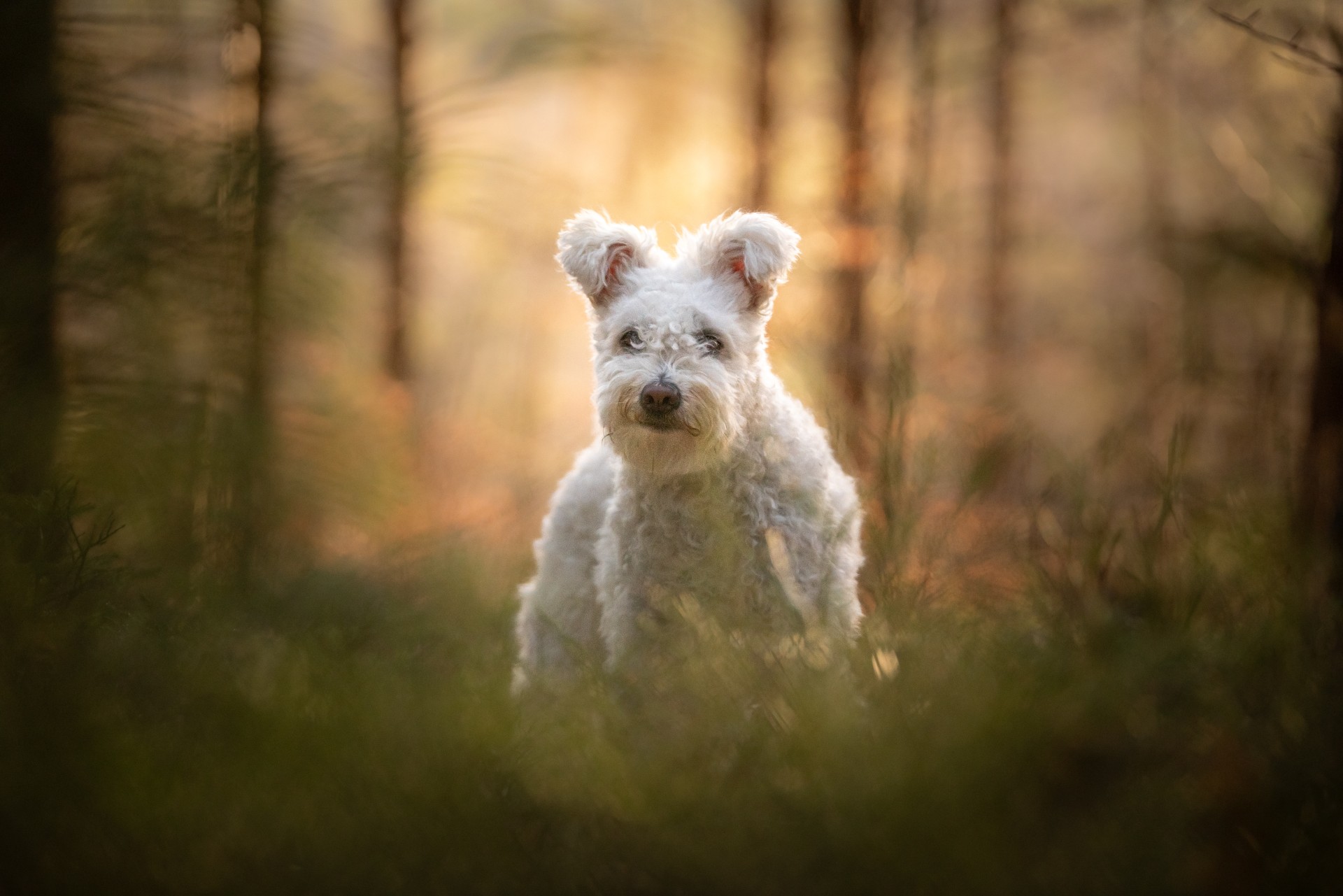 Fotograf: Johanna Strandner 