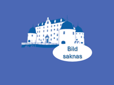 Dvärgtax korthår