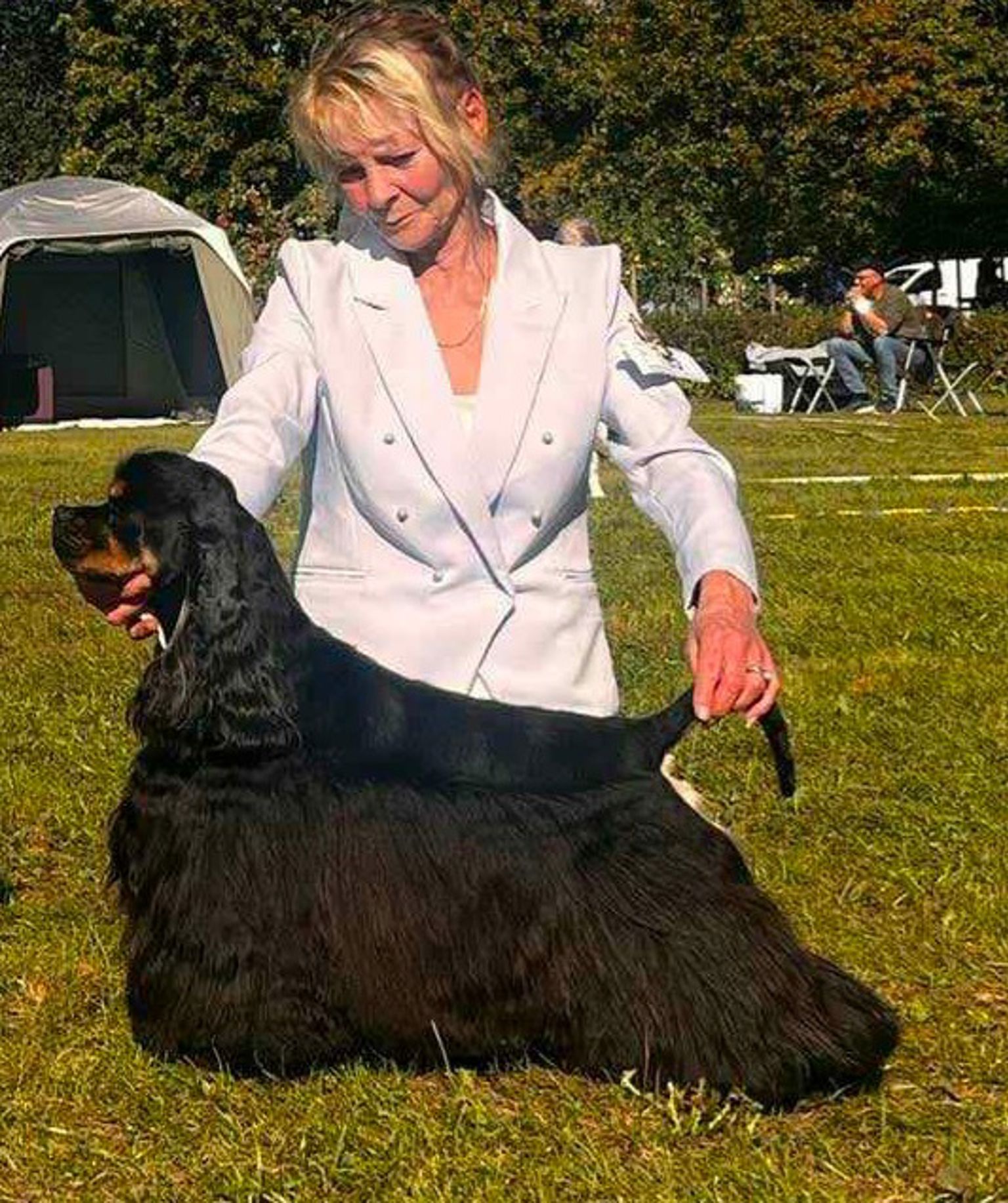 Amerikansk cockerspaniel