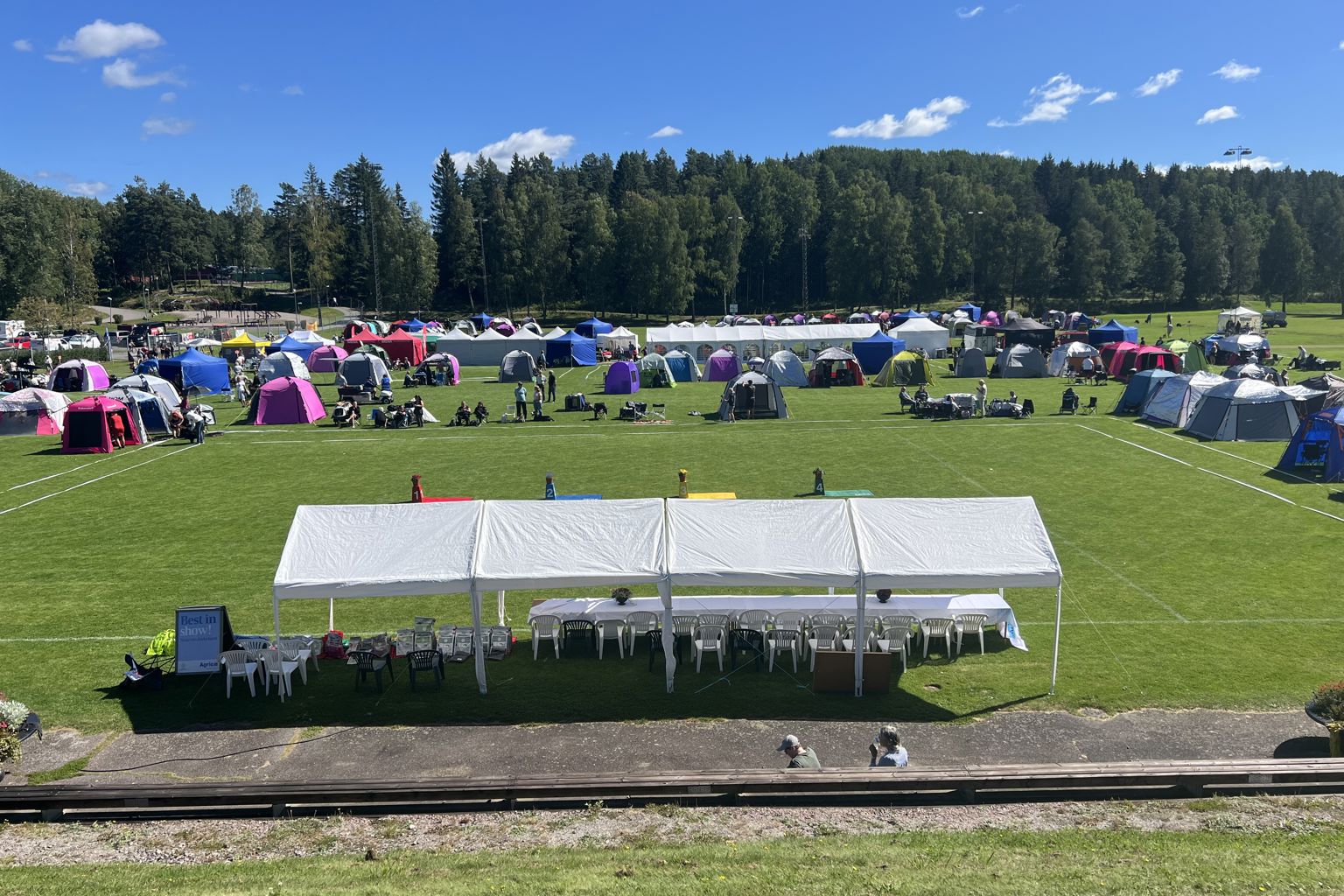 Vy över utställningsplatsen för Askersund Dog Show