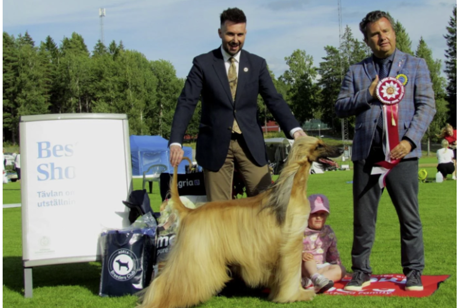 Afghanhund TELLS KJAVUS IT'S ABOUT TIME Ägare Yamada Noriko, Japan