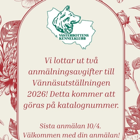 utlottning-liten-vbm